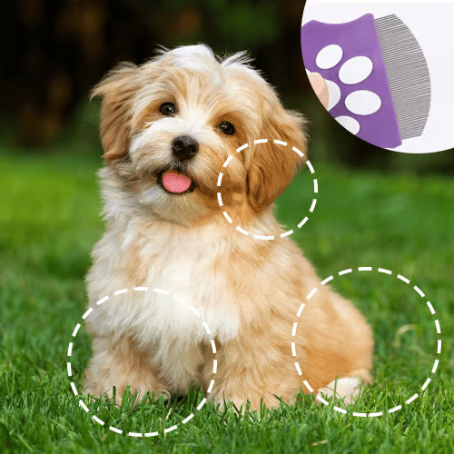 Pet Detangling & Flea Comb- Gentle, Safe, and Stress-Free!